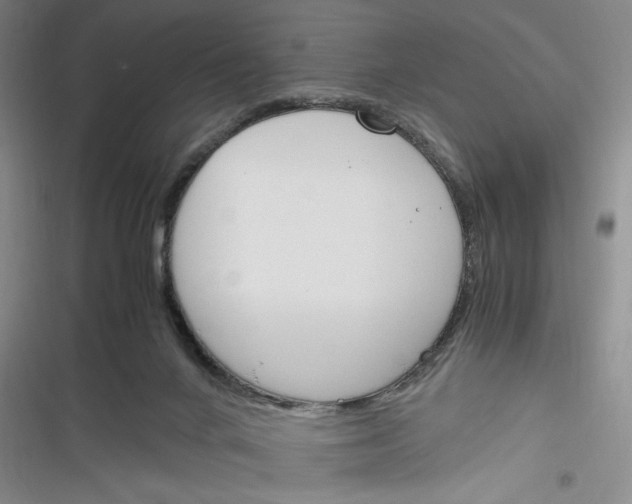 X0000116260024201001111003