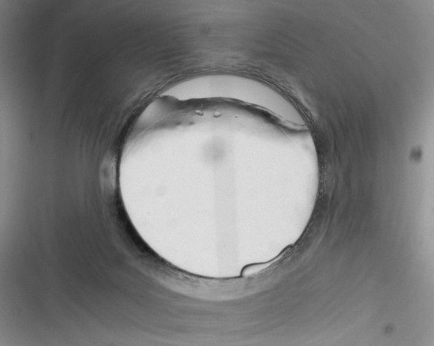 X0000116260027201001111003