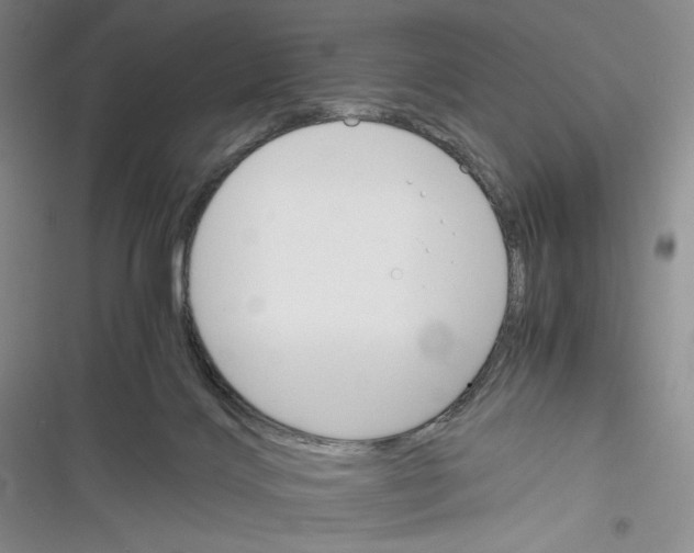 X0000116260028201001111003