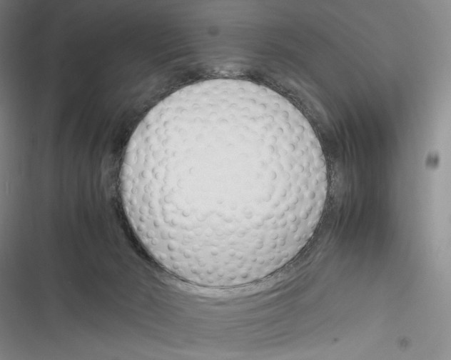 X0000116260030201001111003