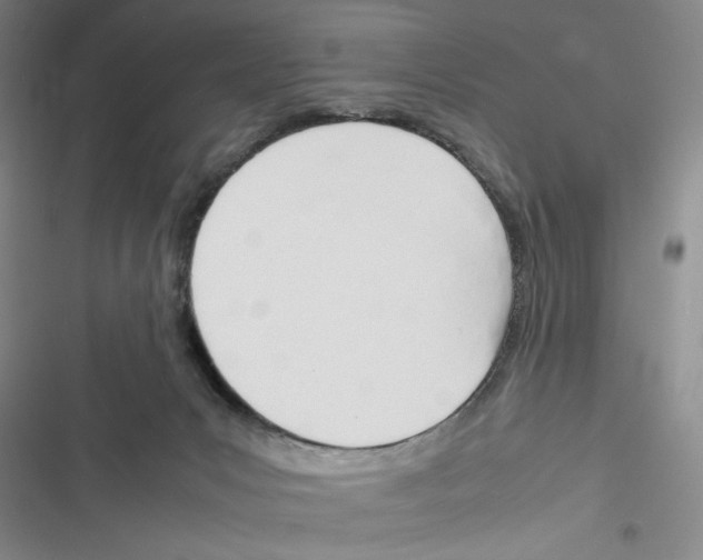 X0000116260031201001111003