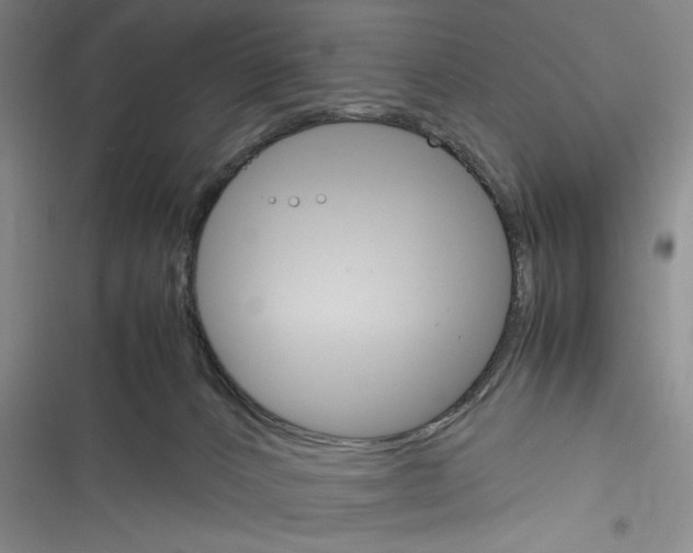 X0000116260032201001111003