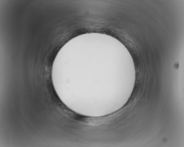 X0000116260033201001111003