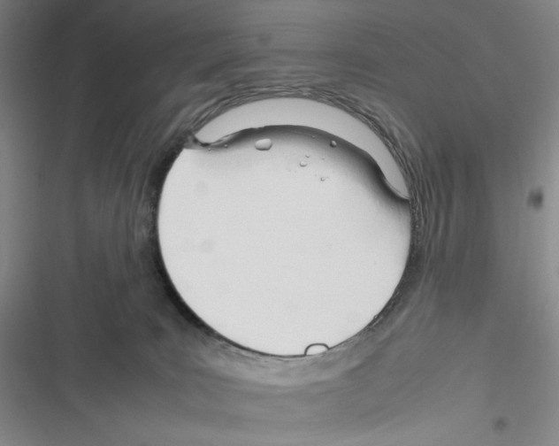X0000116260035201001111003