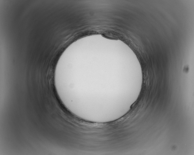 X0000116260036201001111003