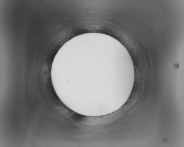 X0000116260037201001111003