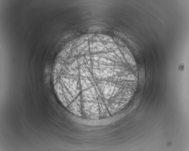X0000116260038201001111003