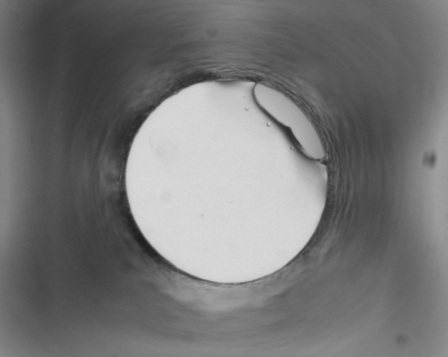 X0000116260039201001111003