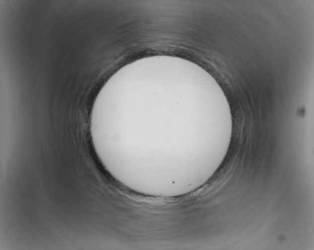 X0000116260040201001111003