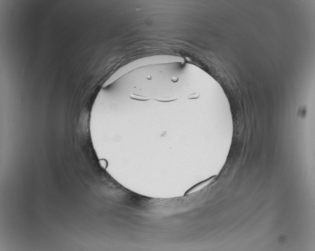 X0000116260041201001111003
