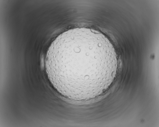 X0000116260042201001111002