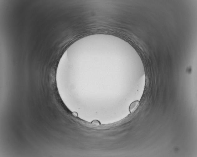 X0000116260043201001111002