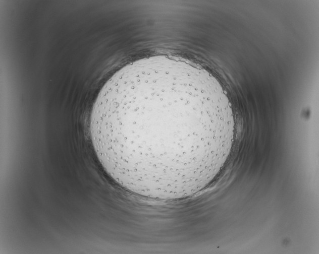 X0000116260044201001111002