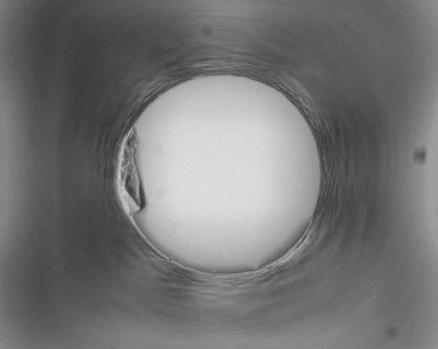 X0000116260045201001111002