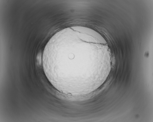 X0000116260046201001111002