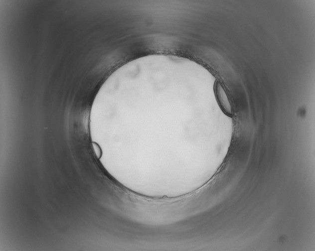 X0000116260047201001111002