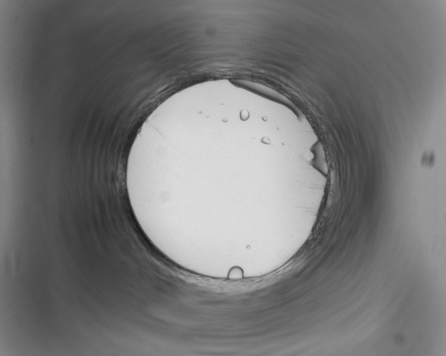 X0000116260048201001111002