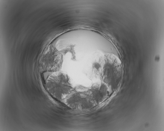 X0000116260049201001111002
