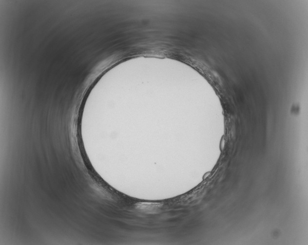 X0000116260051201001111002