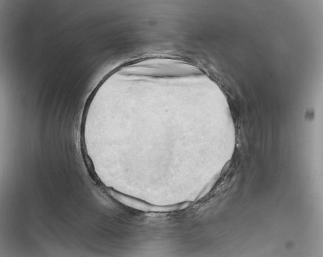 X0000116260052201001111002