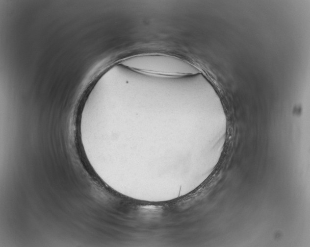 X0000116260053201001111002