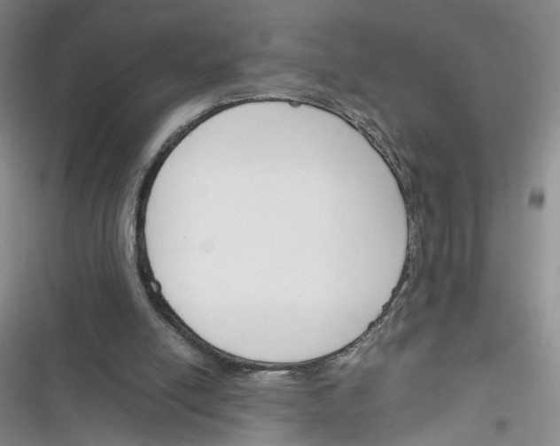 X0000116260054201001111002