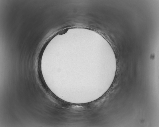 X0000116260055201001111002