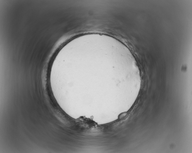X0000116260056201001111002