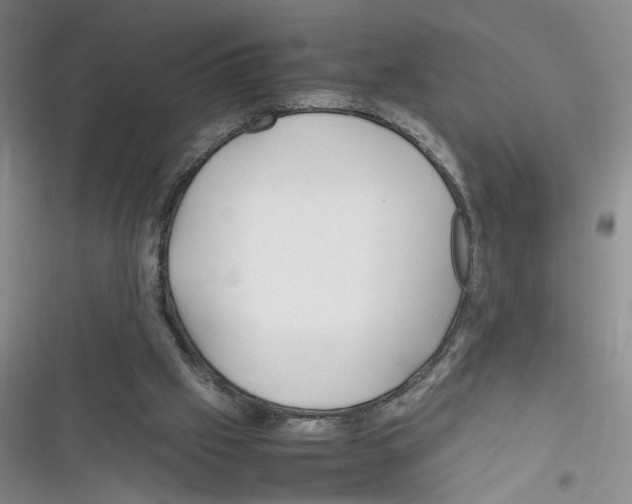 X0000116260057201001111002