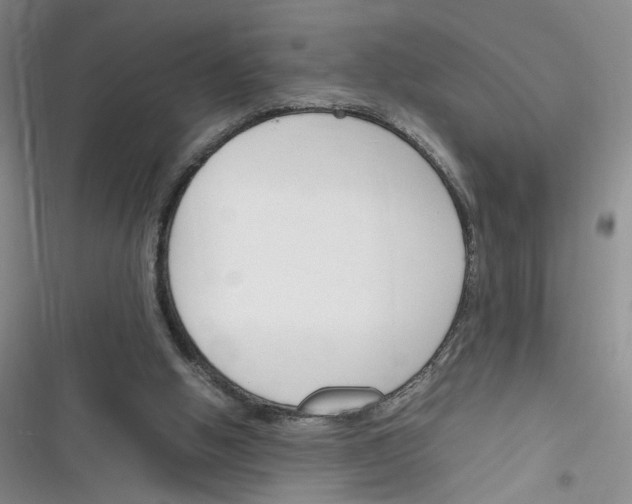 X0000116260058201001111002