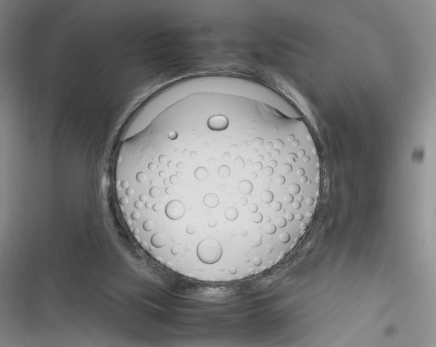 X0000116260059201001111002