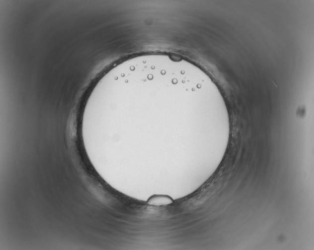 X0000116260060201001111002