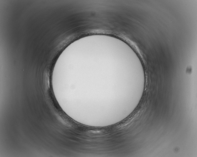 X0000116260061201001111002