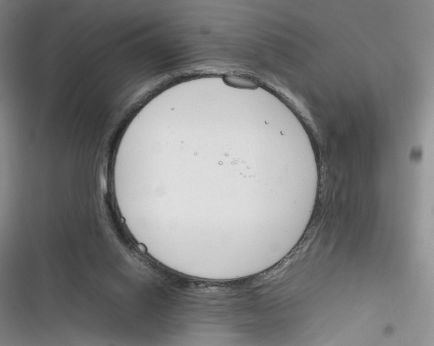 X0000116260062201001111002