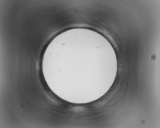 X0000116260063201001111002