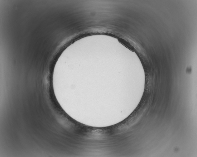 X0000116260064201001111002