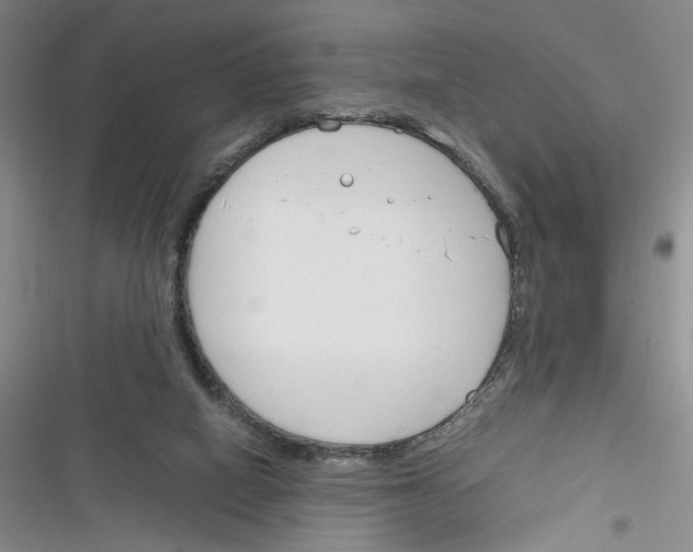 X0000116260066201001111002