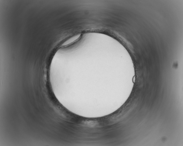 X0000116260067201001111002
