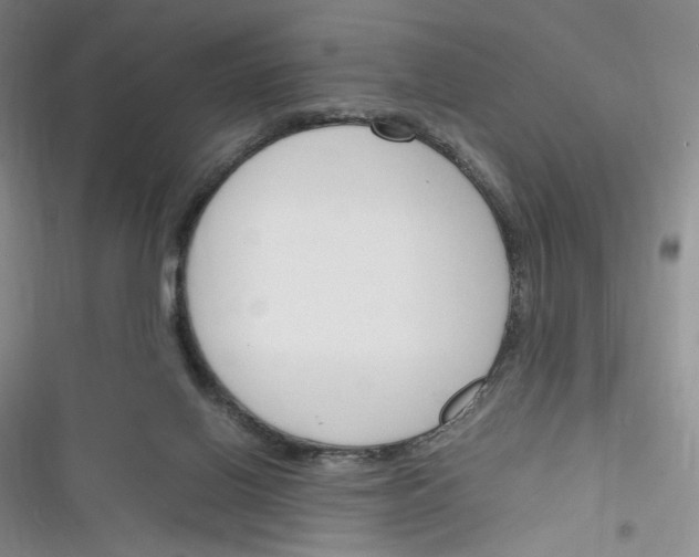 X0000116260070201001111002