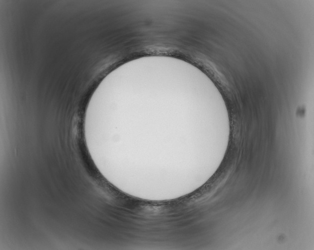 X0000116260071201001111002