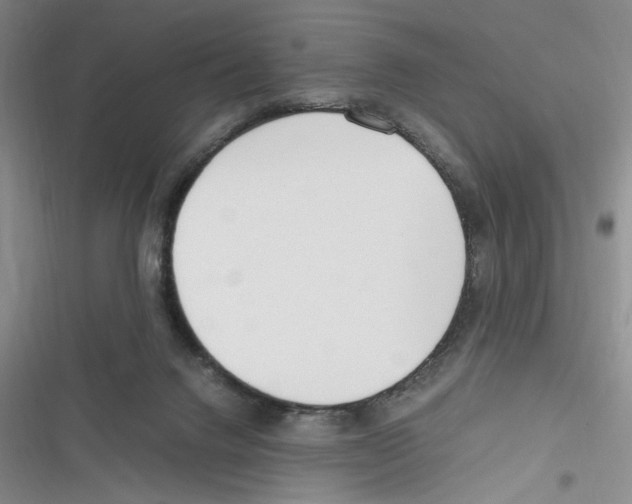 X0000116260072201001111002