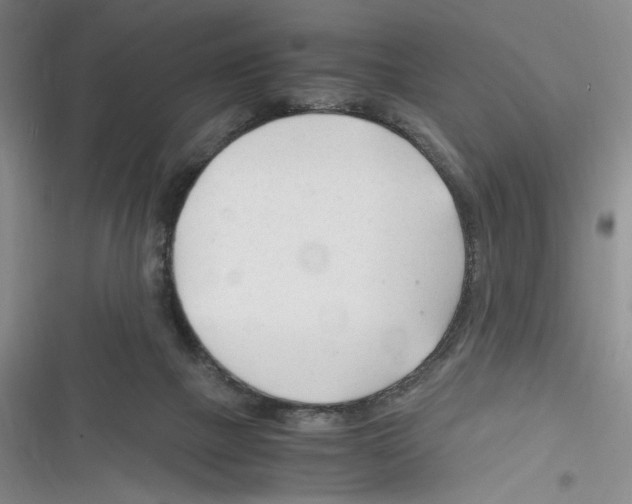 X0000116260073201001111002