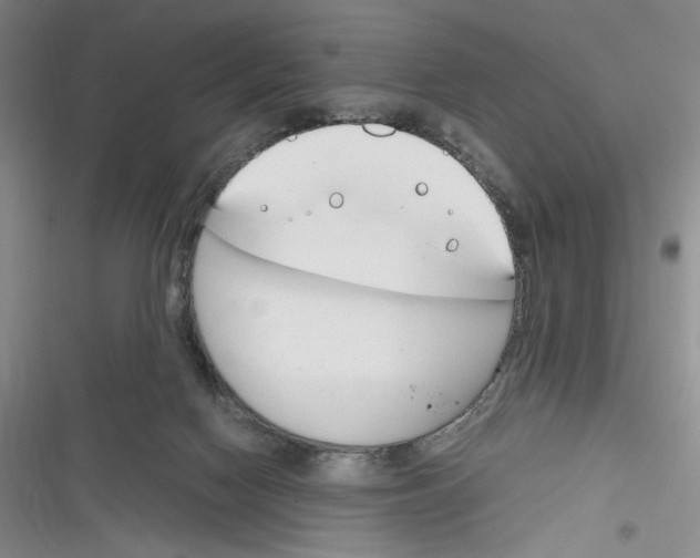 X0000116260074201001111002