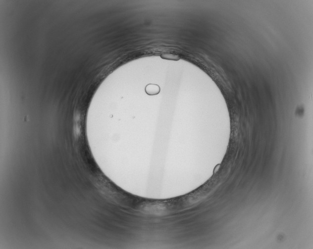 X0000116260075201001111002