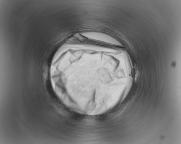 X0000116260076201001111002