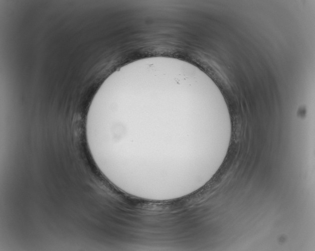 X0000116260077201001111002