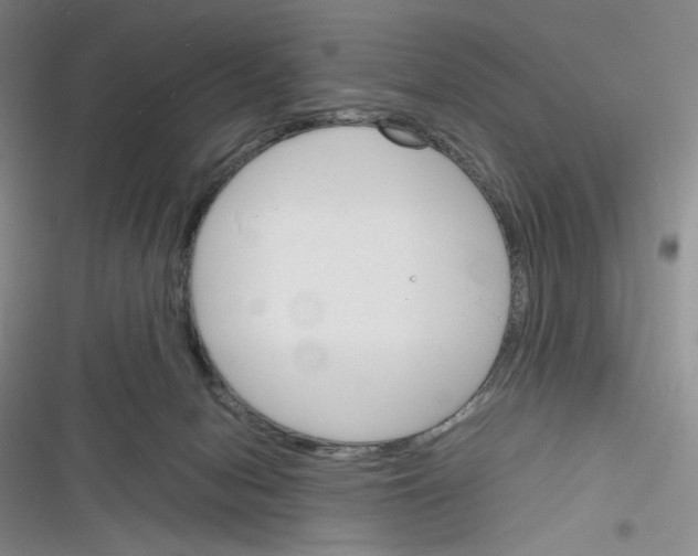 X0000116260078201001111002