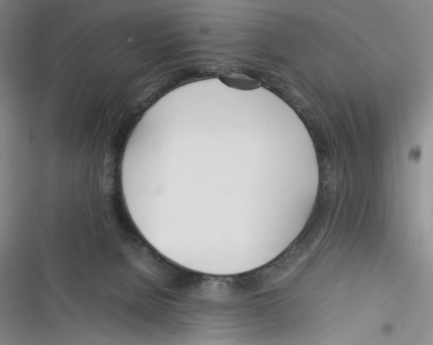 X0000116260080201001111002