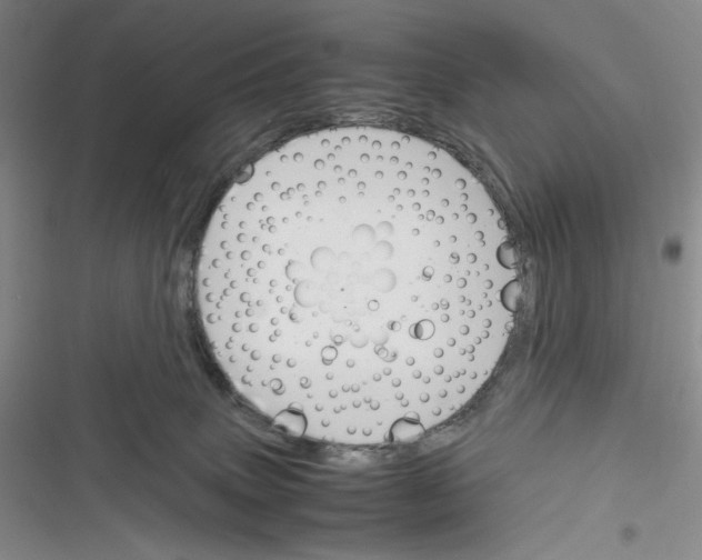 X0000116260083201001111002