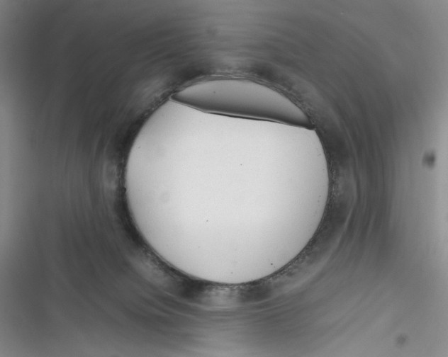 X0000116260084201001111002